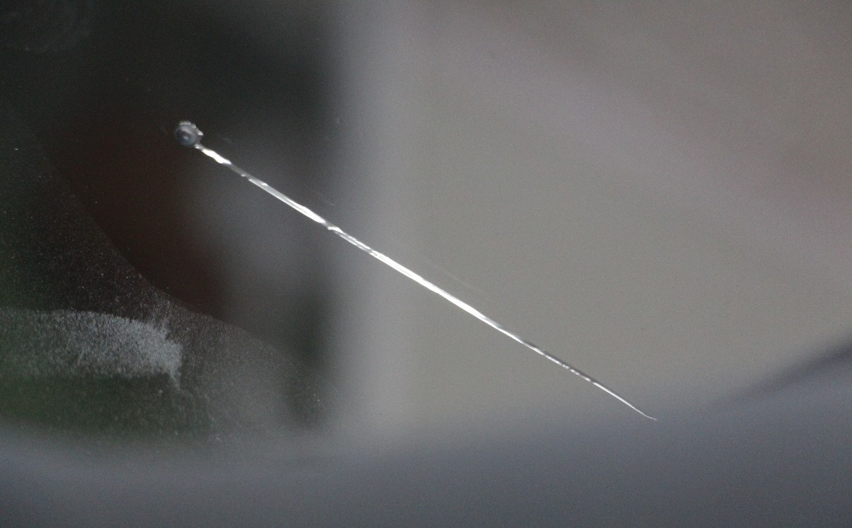 车前玻璃被小石头砸裂怎样修复,天幕玻璃裂了建议换还是修复