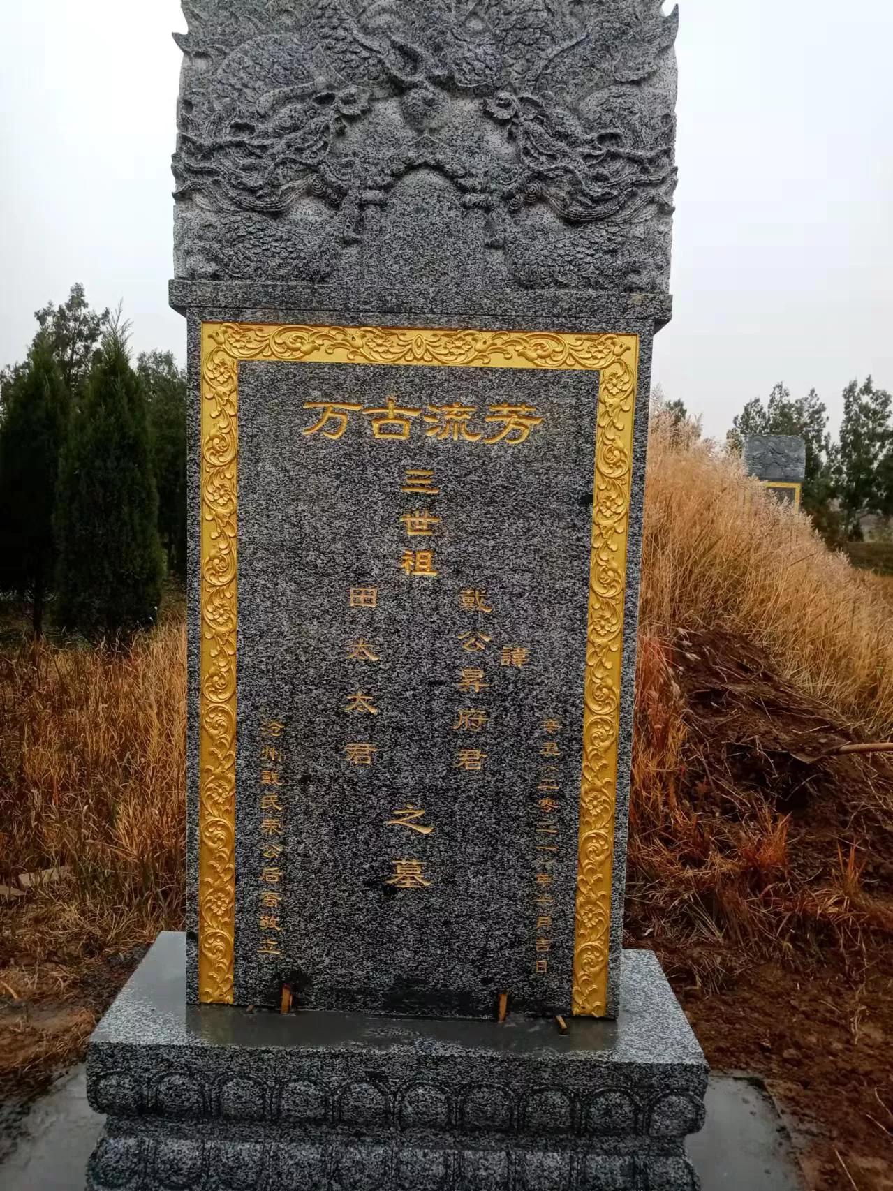 沧州戴氏神道碑,沧州戴氏家族墓地