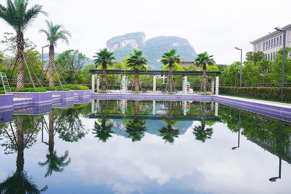 武夷山千禧大酒店金凤凰,武夷山千禧酒店温泉