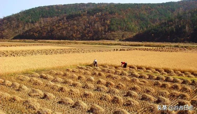 甘肃一座低调古镇,甘肃庆阳小城视频
