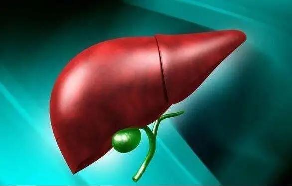 肝硬化早期发现还能活多少年,由乙肝引起肝硬化早期可以活多久