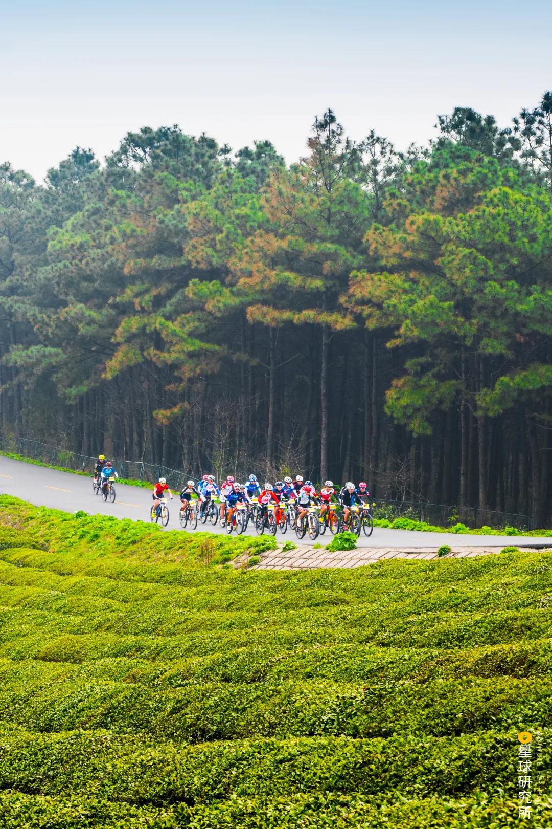 南京高淳区哪个地方好,南京高淳值得去的风景区免费