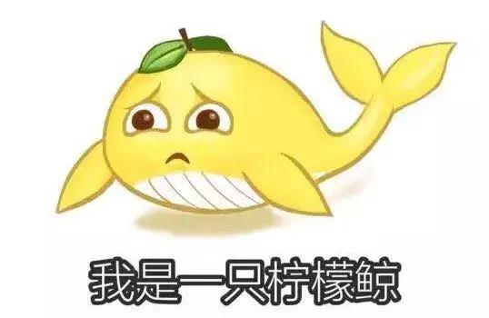 中国移动查网龄送流量活动最新,中国移动查网龄送流量怎么办理