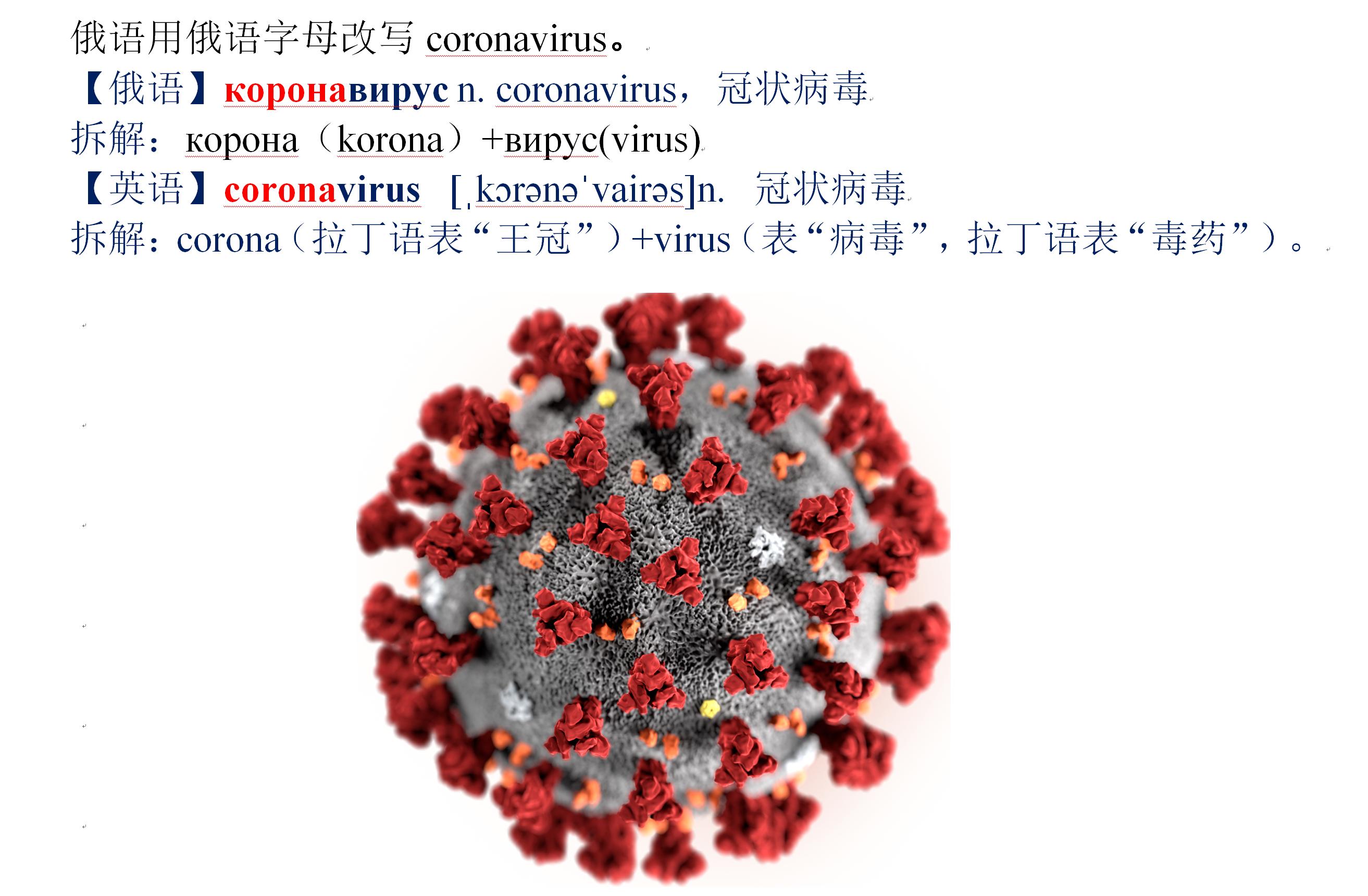 认识英文字母单词视频,insect英语单词快速记忆
