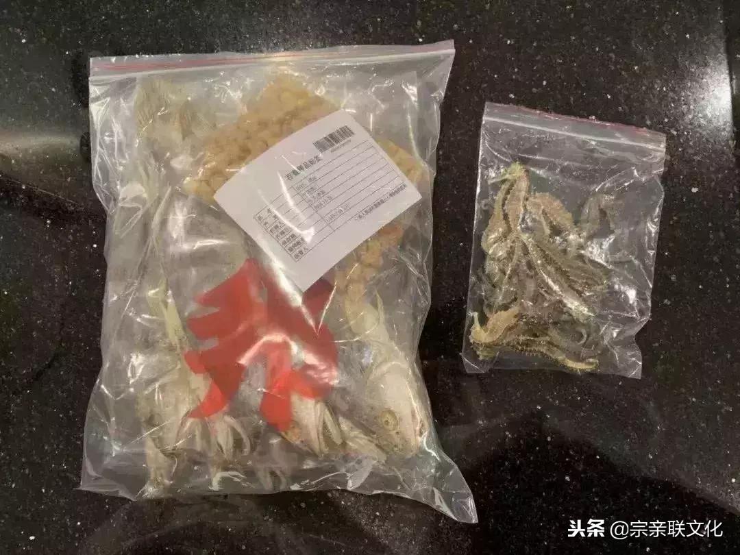 去澳门可以带哪些水果,去香港必吃的水果有哪些