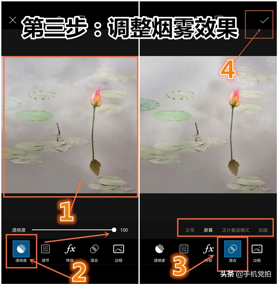 荷花开放加人像特效,荷花特效加照片