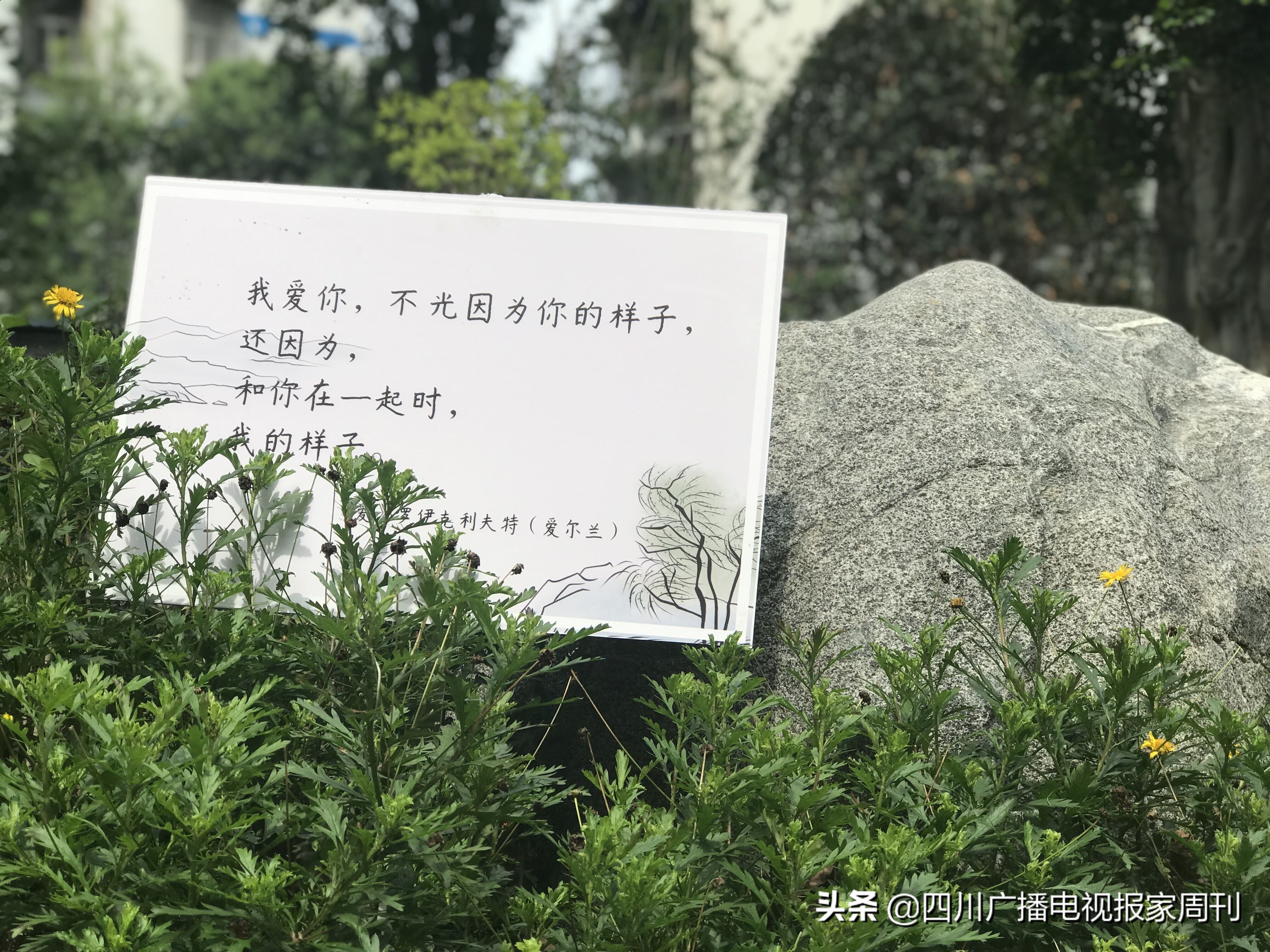 晋吉社区居民1314主题公园赴一场浪漫之约