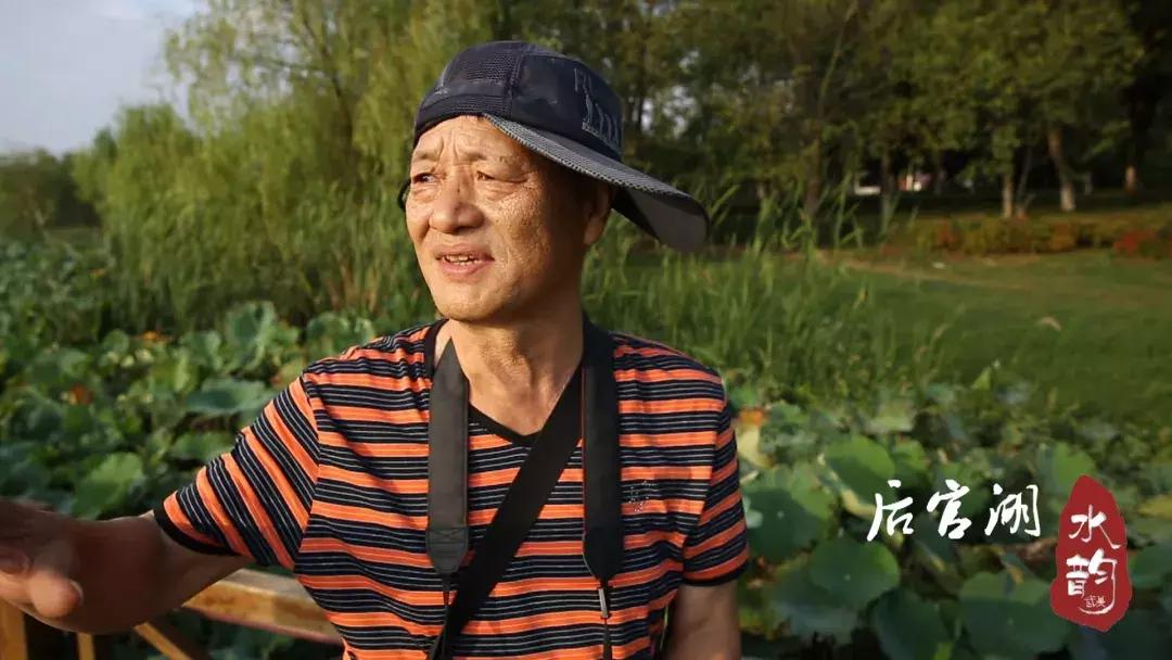 武汉蔡甸后官湖湿地公园,武汉后官湖湿地公园门票