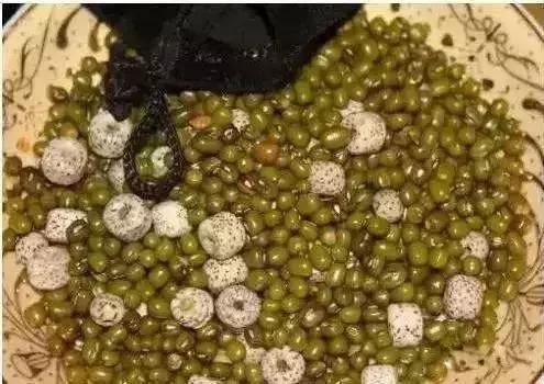 搓澡巾加绿豆,搓澡巾配合什么东西搓泥