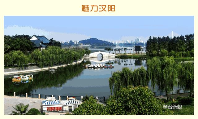 湖北武汉好消息,好消息武汉完整版