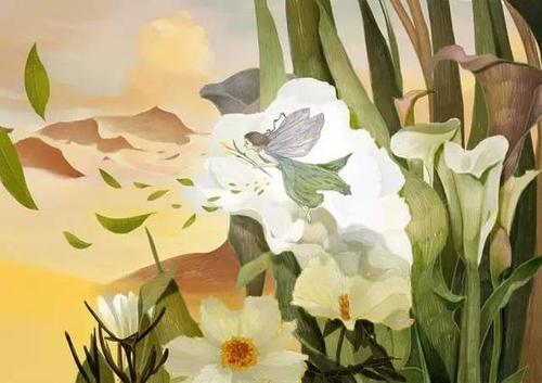 呵芬,寻觅专属芳香,静享岁月美好