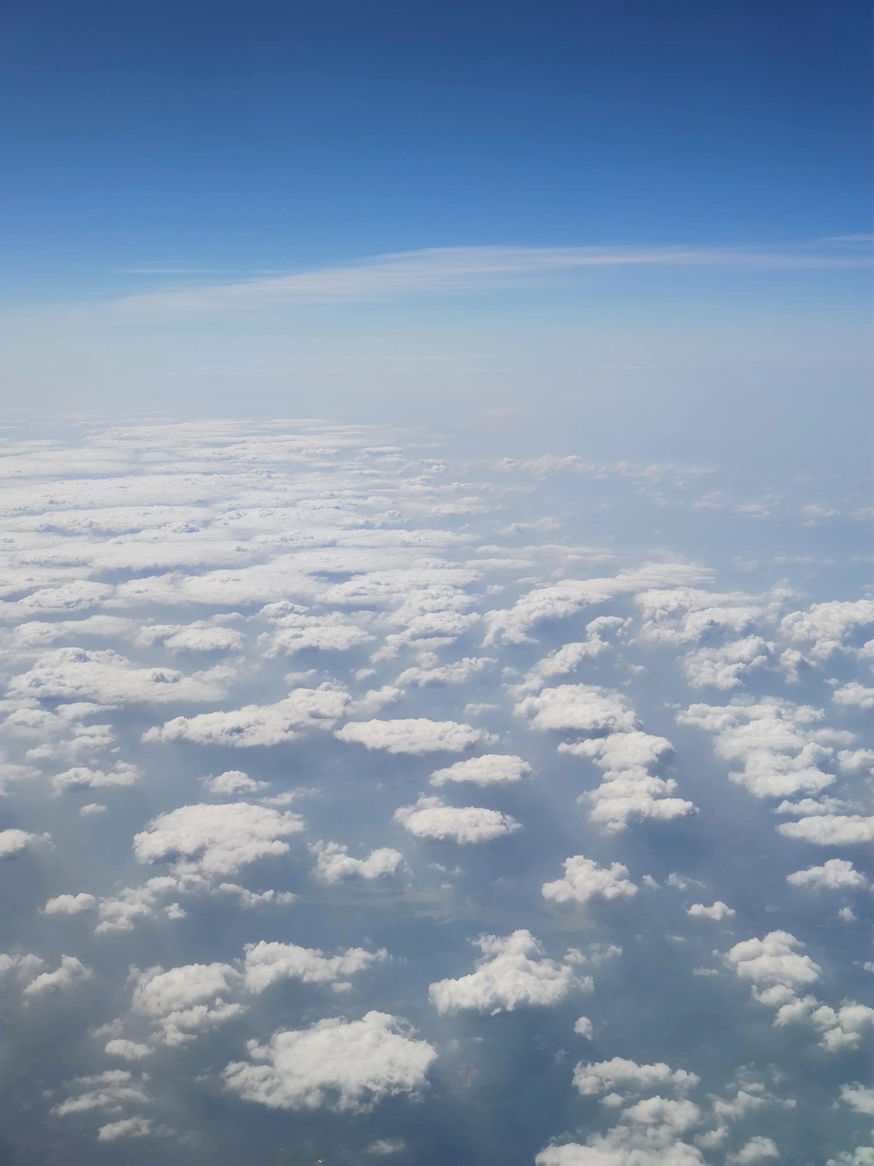 程序员日记视频全集,程序员日记简短