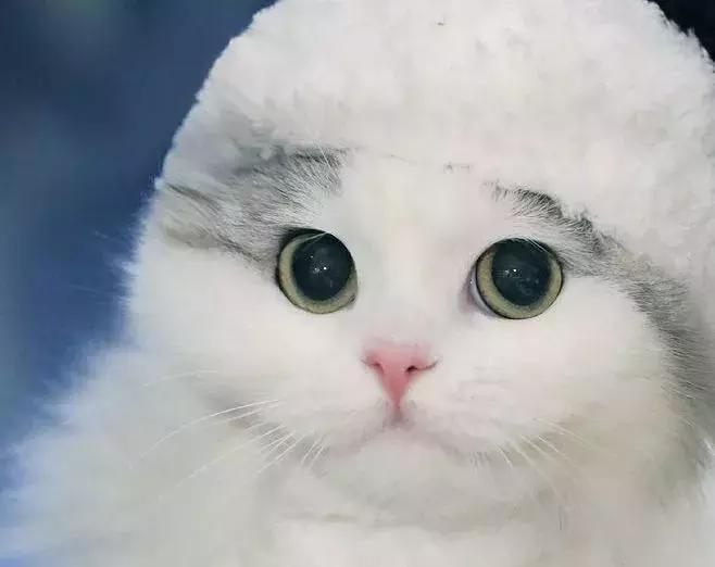 只要不停产会一直回购的化妆品,十大最不建议买的水乳