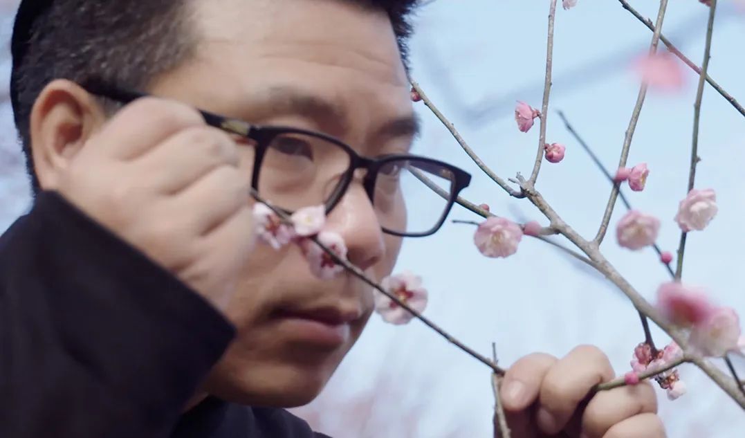 梅花香荷花,什么样的梅花香最好