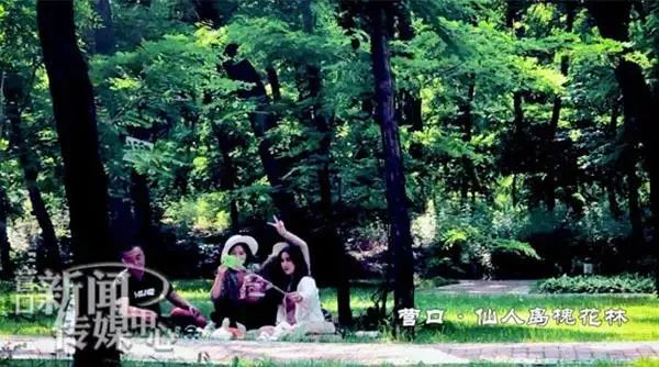 记忆中的家乡早已变了模样,家乡已不再是记忆中的模样