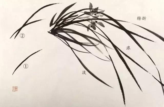 水墨怎么画兰花最好看,如何画兰花大全图片