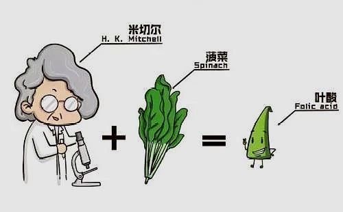 妊娠前期各种问题及解答 (妊娠早期应该注意哪些事项)