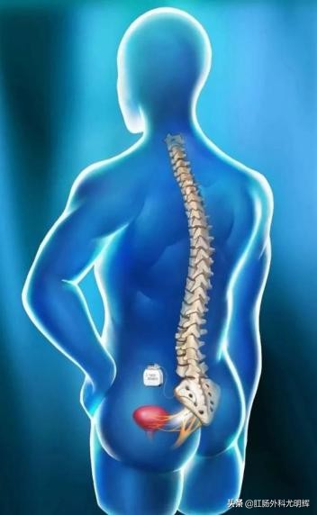 泻药放多少不会产生危险,长期吃泻药的危害超级大