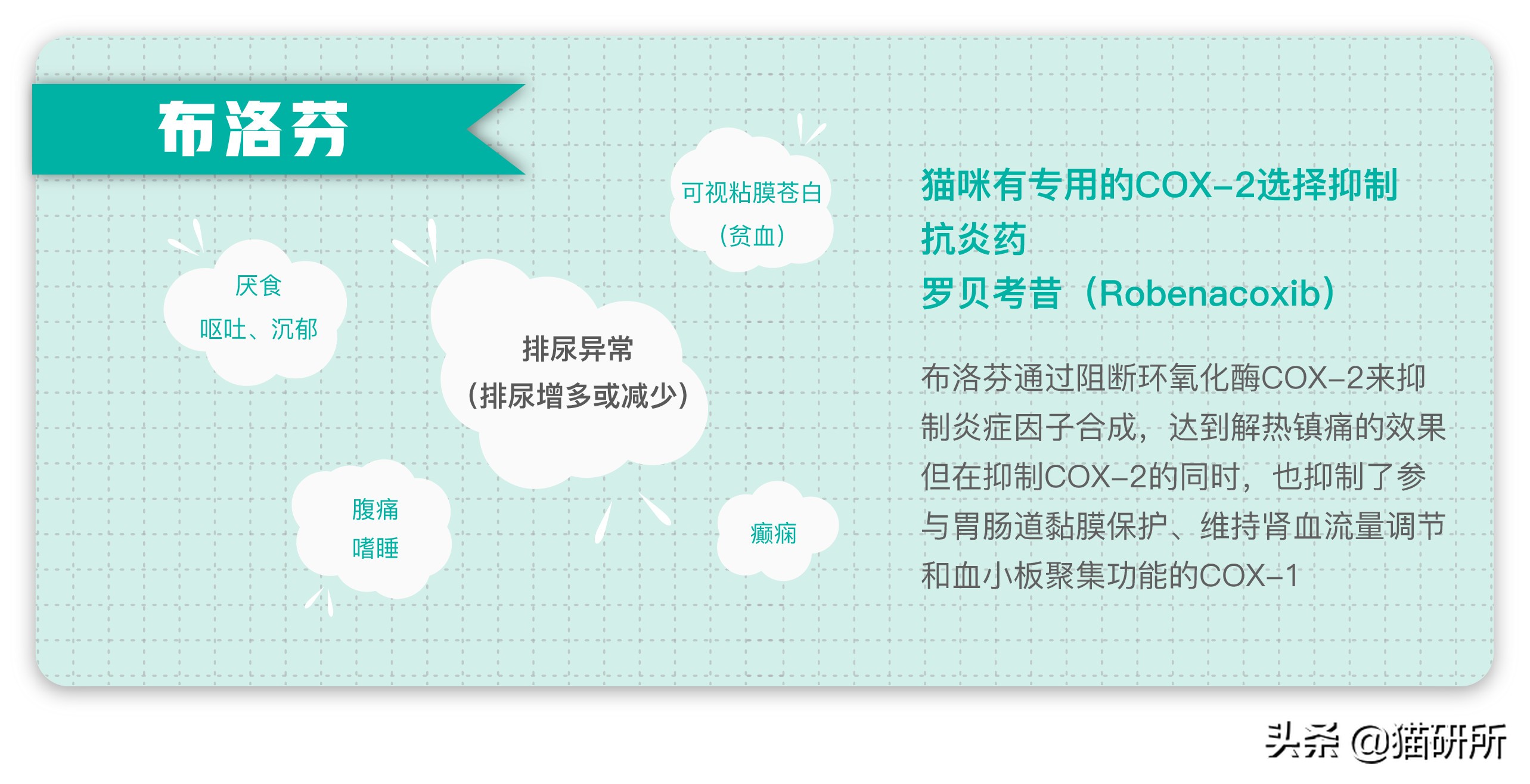 给猫粮投毒辟谣,猫吃人用感冒药吗