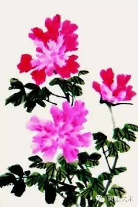 写意牡丹的画法步骤视频教程,王雪涛写意牡丹画法视频大全