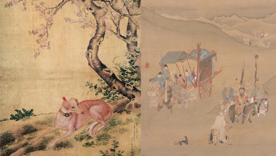 五一萌宠游园会,五一萌宠节