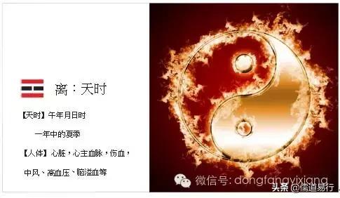 五月端午怎么过,五月端午五毒日讲解