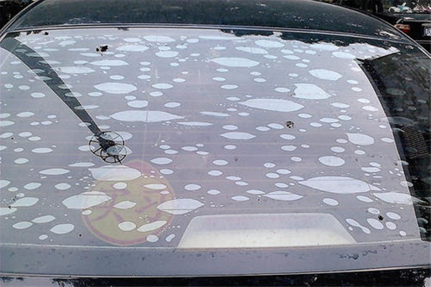 汽车前挡风玻璃边缘起泡有什么影响,汽车钢化玻璃自爆原因有哪些