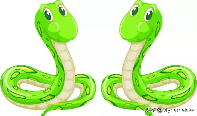 十二属相在今年每月的吉凶,十二属相各自都有什么缺人点