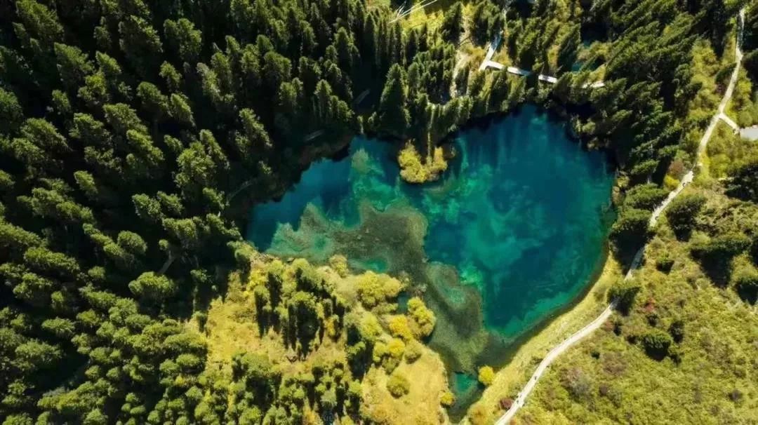 松潘之秋，品一场醇美的色彩盛宴