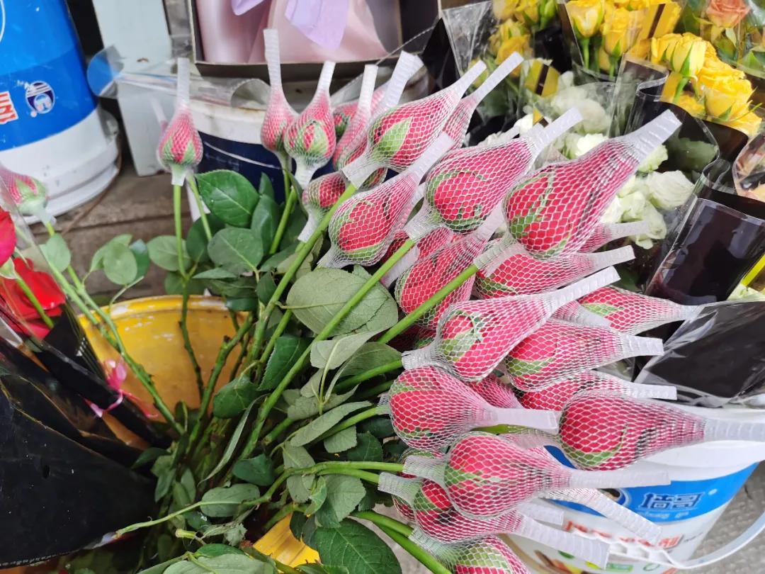 5月岭南花卉市场,红星花卉市场七夕