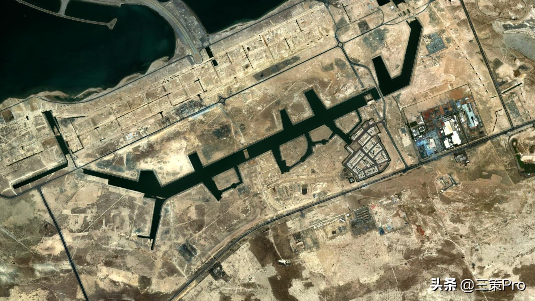 沙漠玫瑰阿拉伯视频,沙漠玫瑰在阿联酋