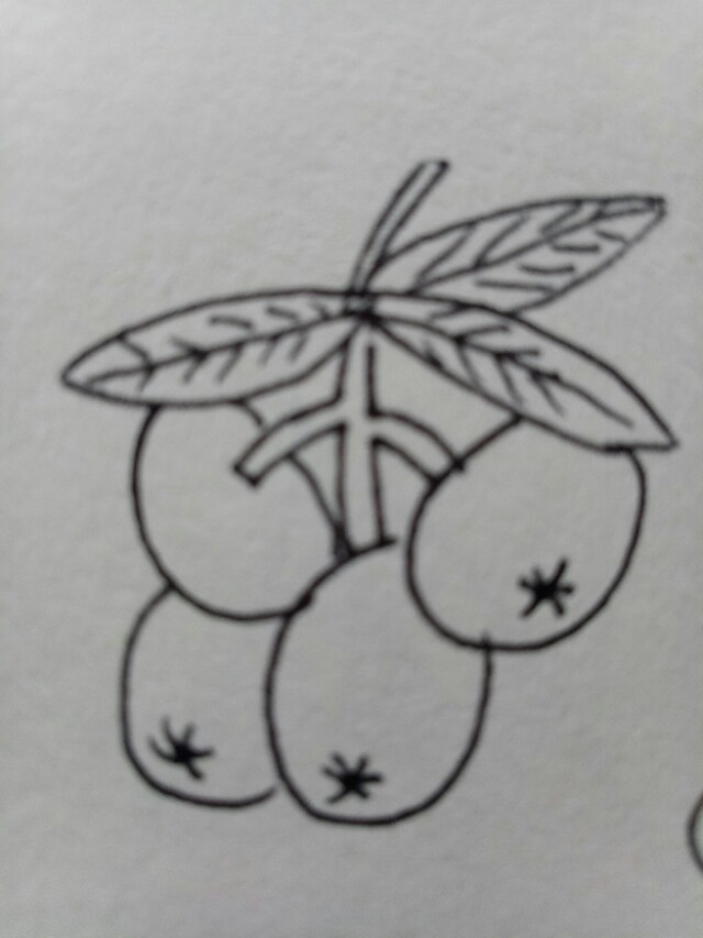 画食物甜品和水果零食简笔画,简笔画儿童3-6岁简单水果