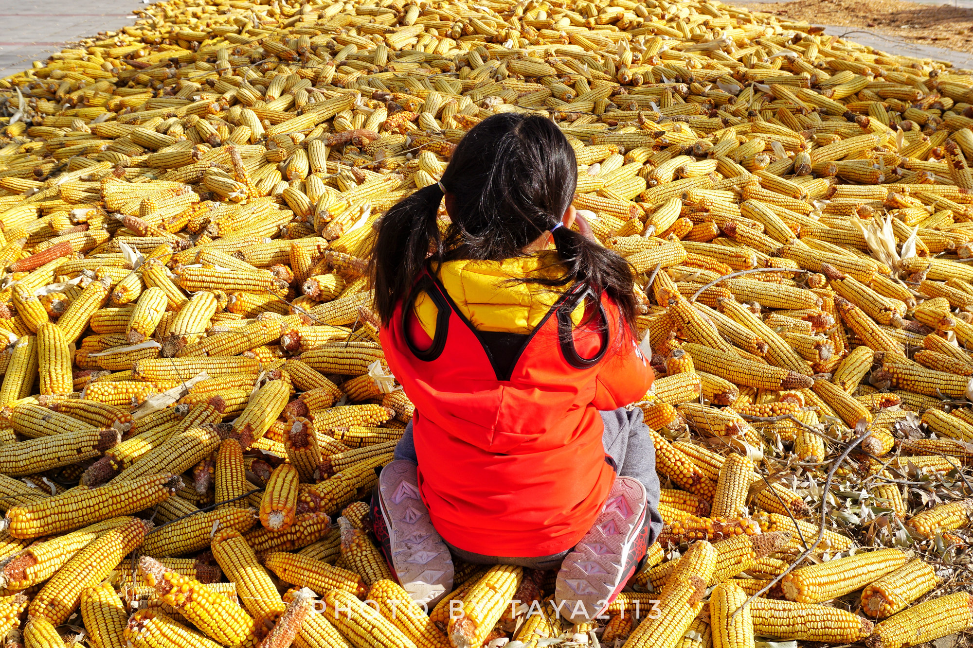 北京延庆:吃完土菜再玩个土掉渣的柳沟嘉年华——妞儿嬉游记