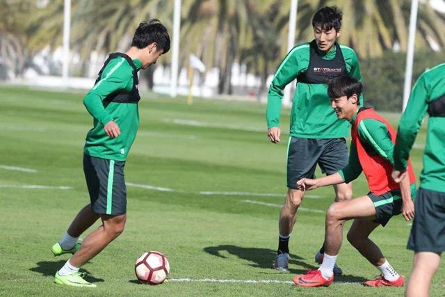 欧罗巴联赛沙姆洛克,欧罗巴vs阿森纳