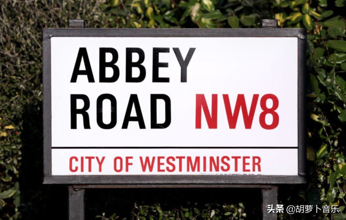 霉霉为中国捐款,霉霉为粉丝捐款