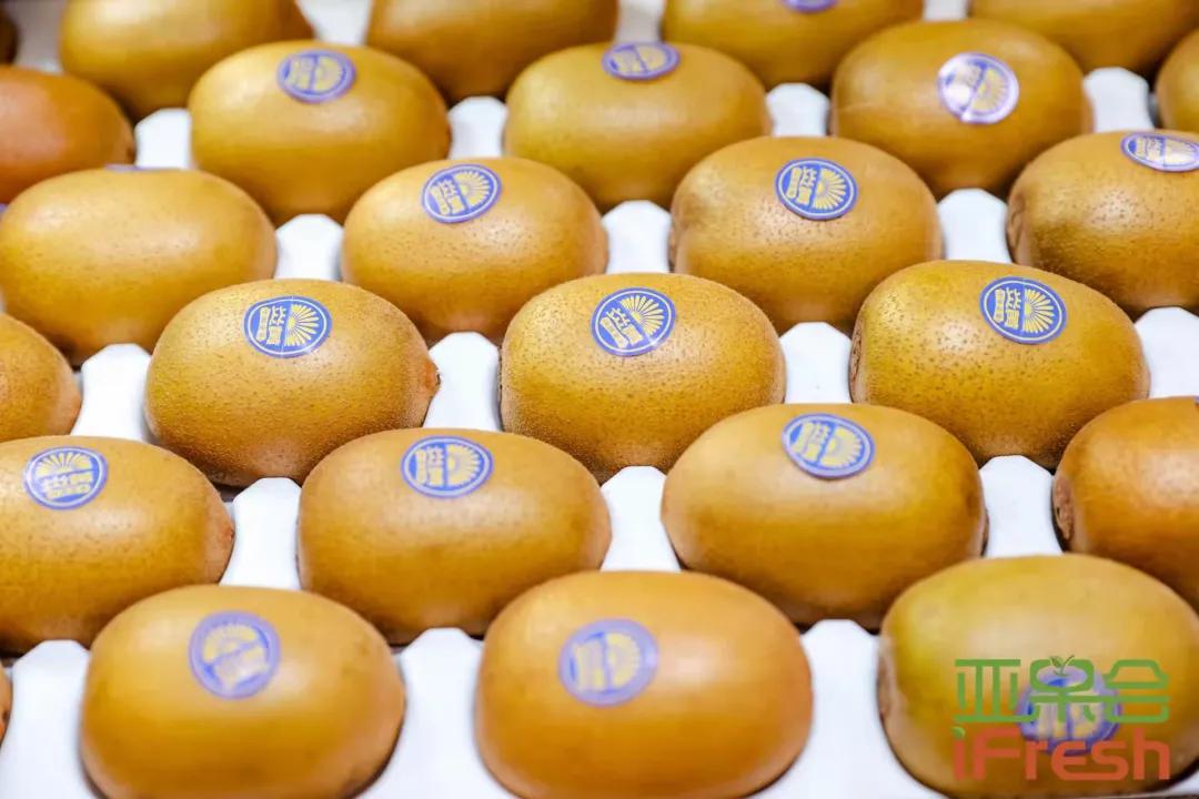 ifresh亚果会上海展会,第14届亚洲if果蔬博览会