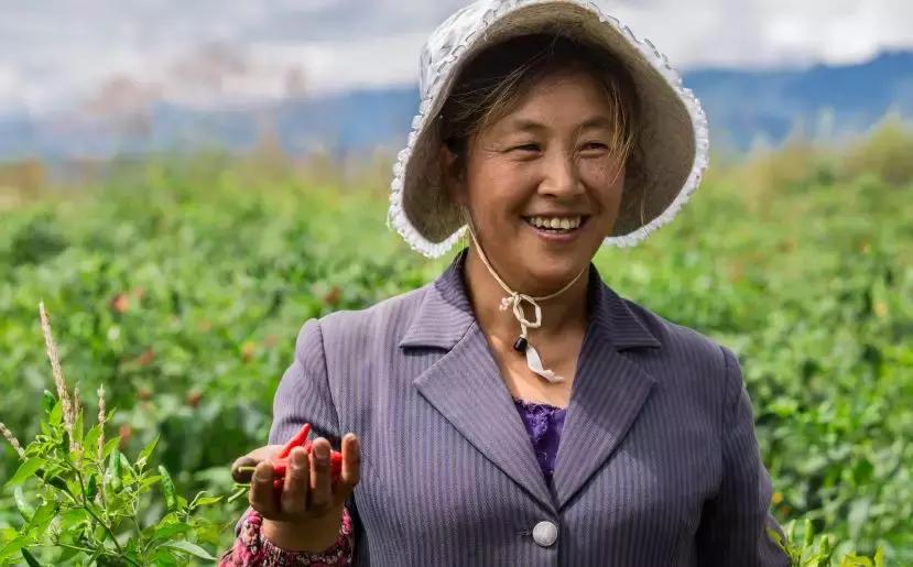 补贴来了苹果,惠民补贴未通过一卡通发放问题