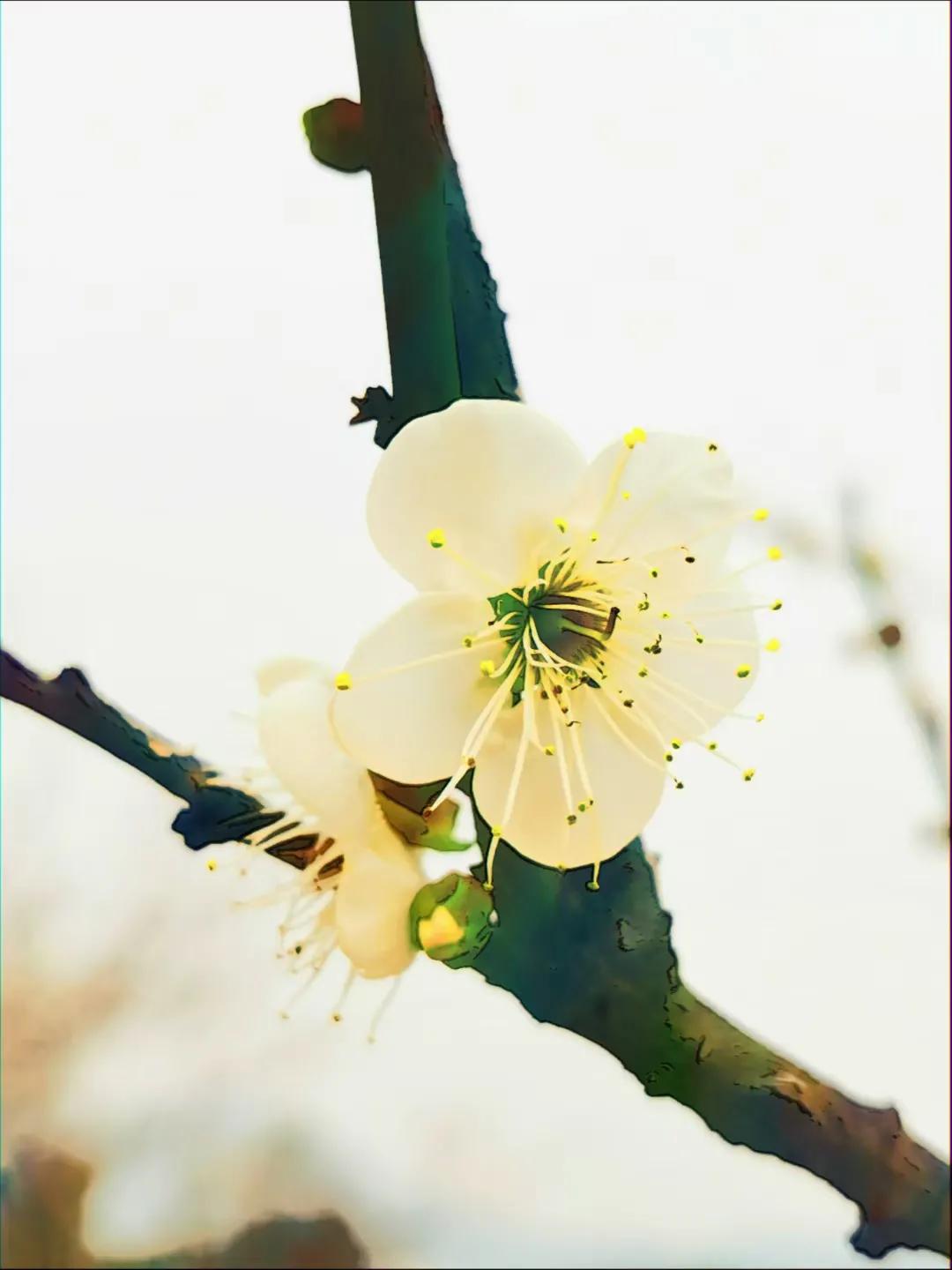 如何引导女孩子走出恐婚症,女朋友有疑病症该怎么办