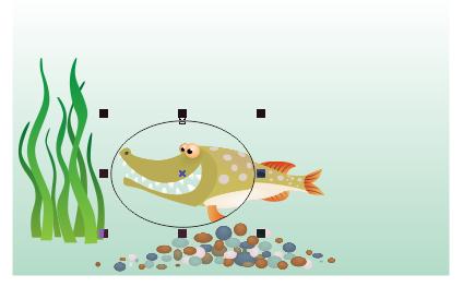 cdr鱼眼在哪里,cdr鱼眼使用教程