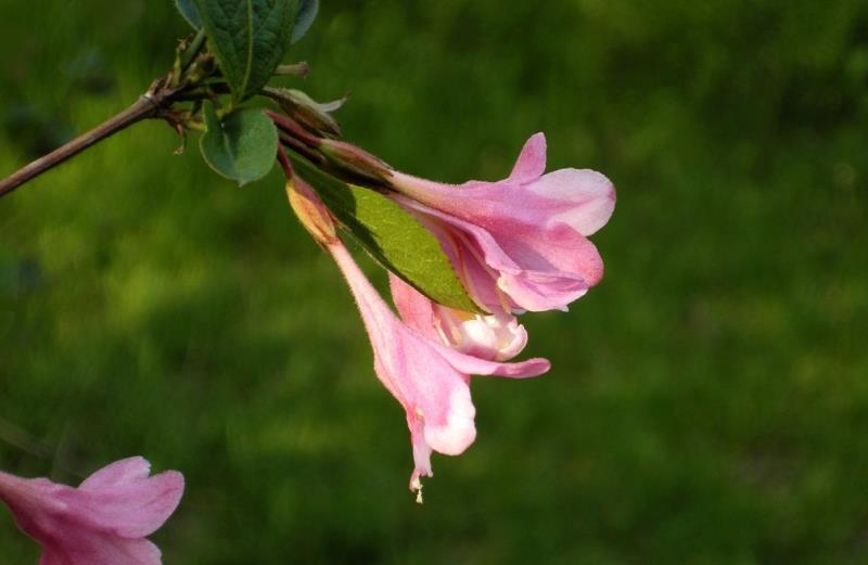 情商越高,直话越少:真正情商高的人,常用三种语言技巧,很委婉