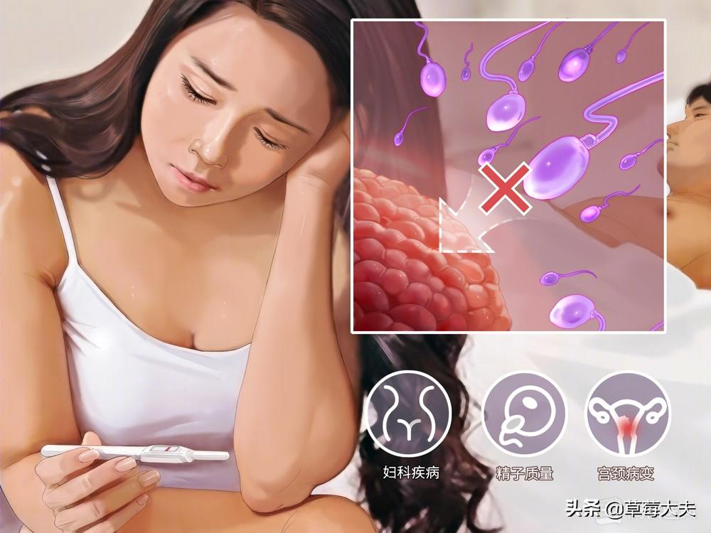 医生也成“催生婆”?不!是你输卵管出问题了......