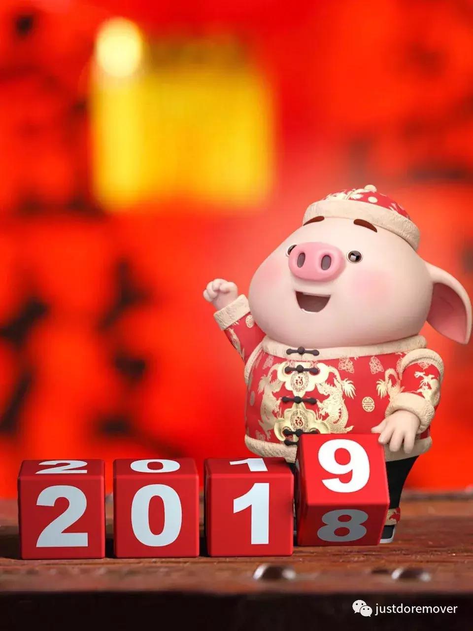 2019年我是最旺最红的猪！gruntgruntgrunt