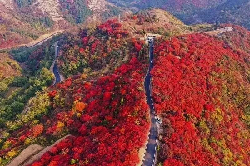 打造地方特色文旅项目,重磅打造的文旅项目