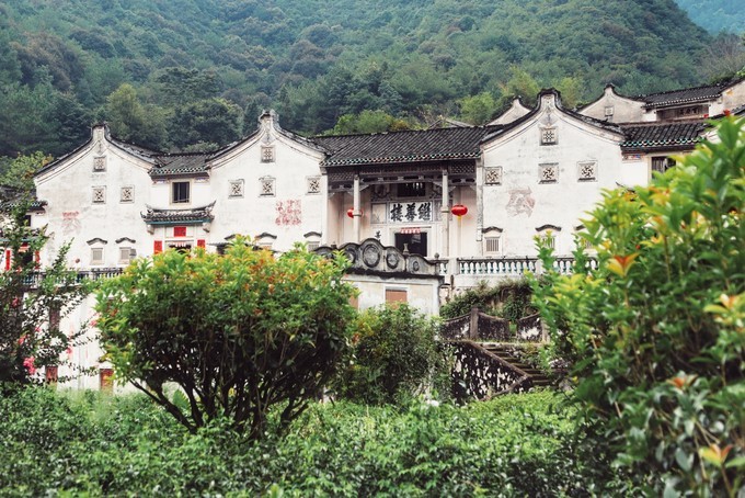 梅州采茶,梅州采茶体验