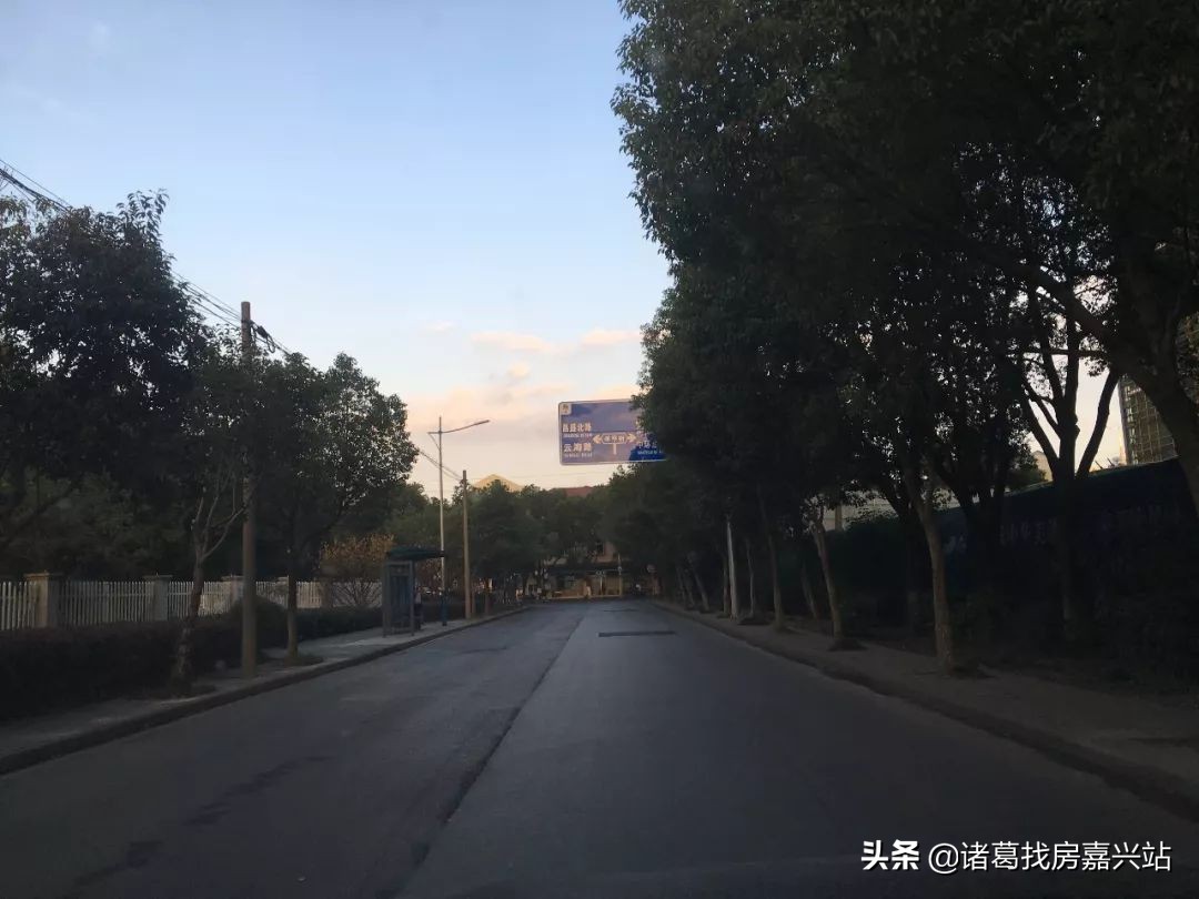 谁在嘉兴黑土地上“种”房子？