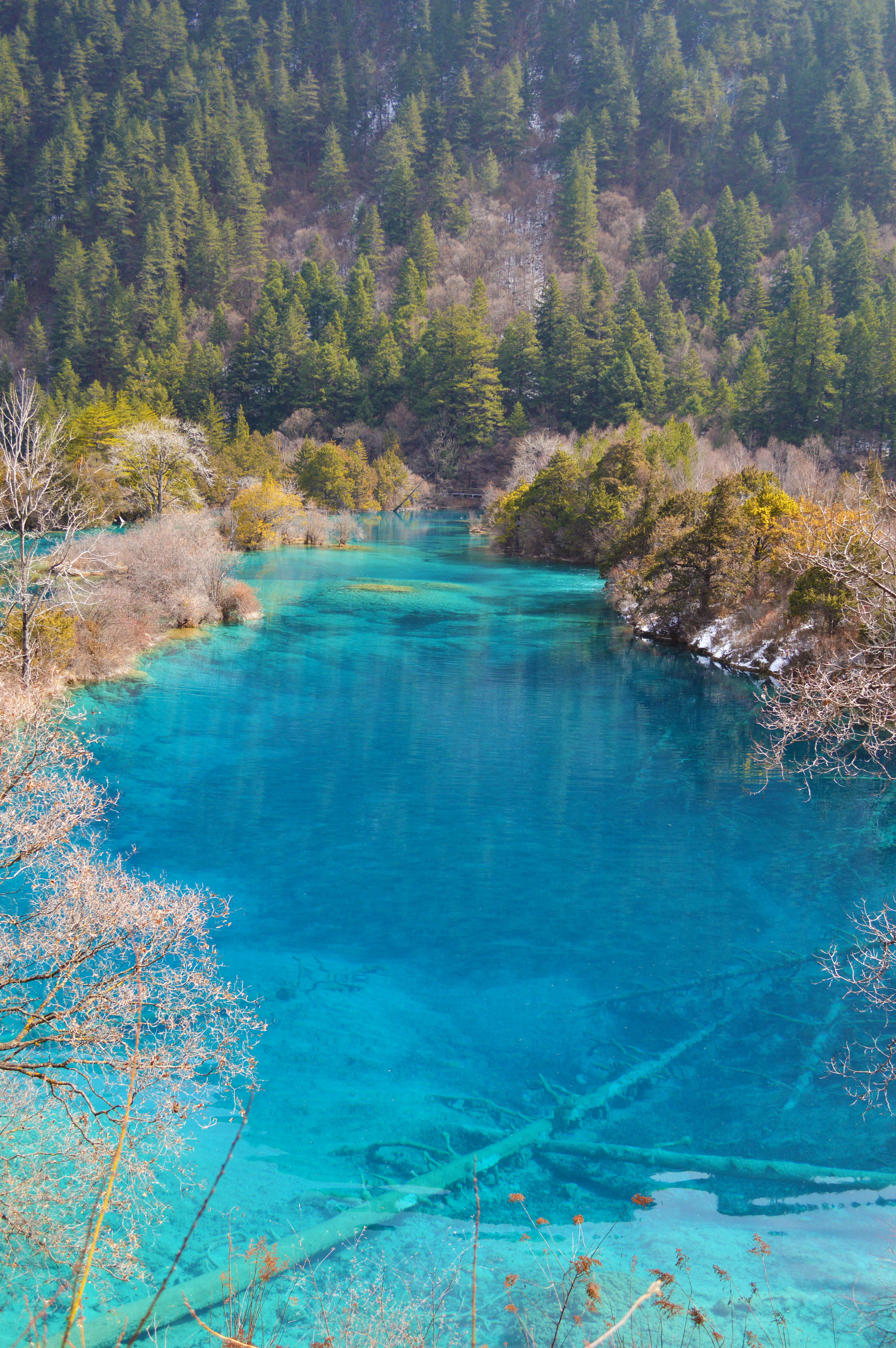 九寨沟震后最美景点开放了吗,九寨沟地震珍贵景点