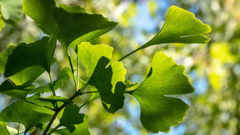 爆款频出的雅顿，原来身体乳也这么好用，抹完皮肤嫩滑自带体香