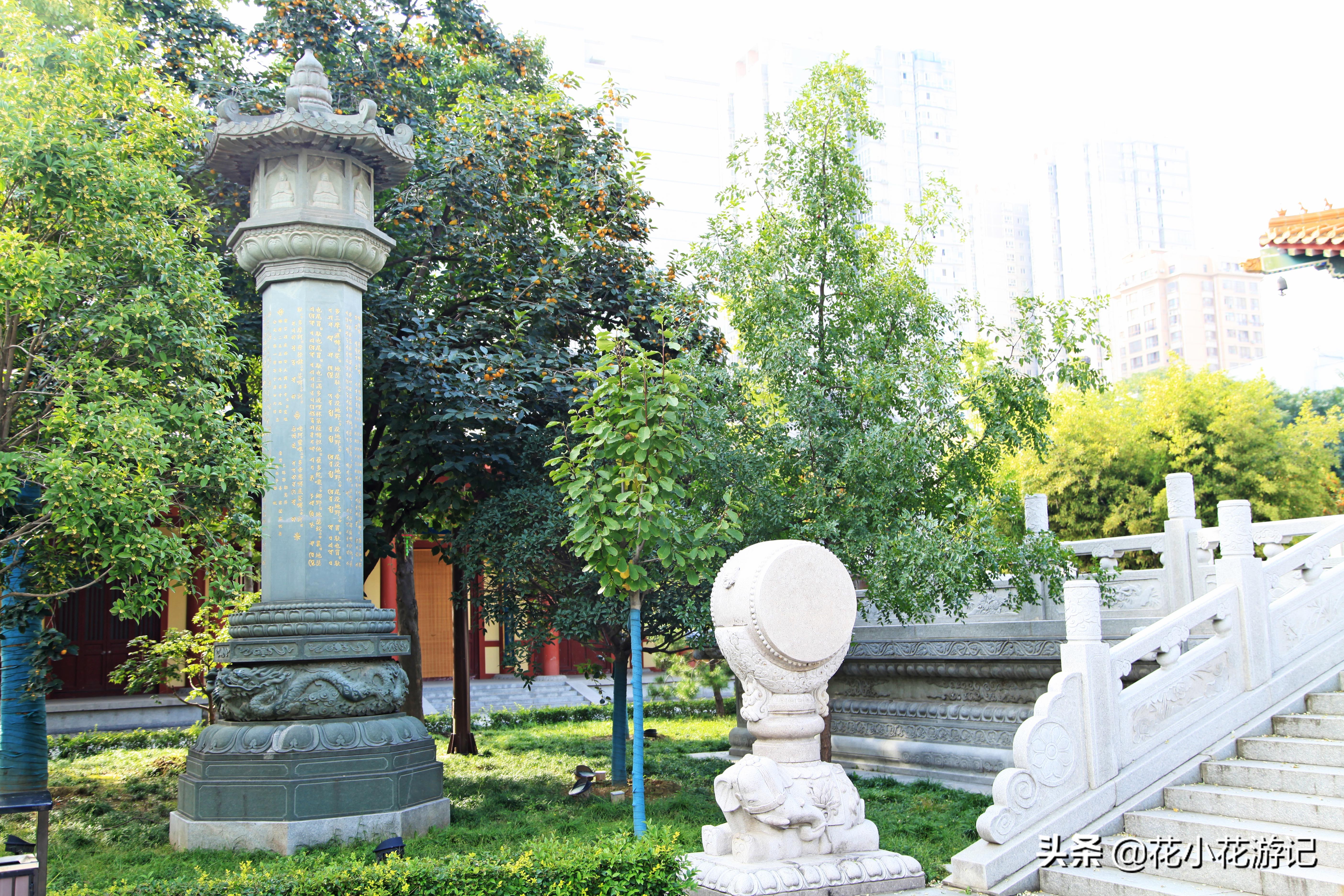 澶у叴鍠勫鐨堜緷娉曚細,澶у叴鍠勫澶ч泟瀹濇绁堢璇电粡