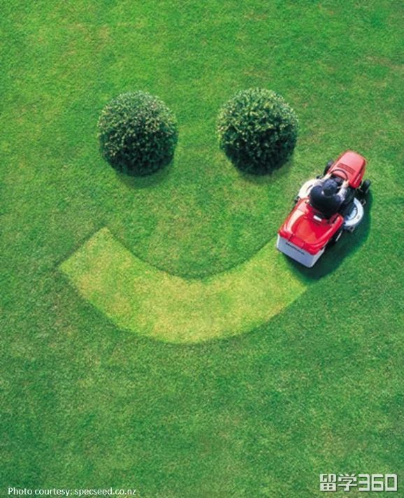 知否知否？高颜值的新西兰还是黑科技好手！