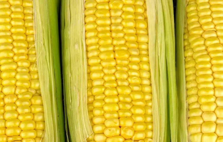 内分泌失调男性长痘怎么调理,内分泌失调下巴长痘吃什么药调理